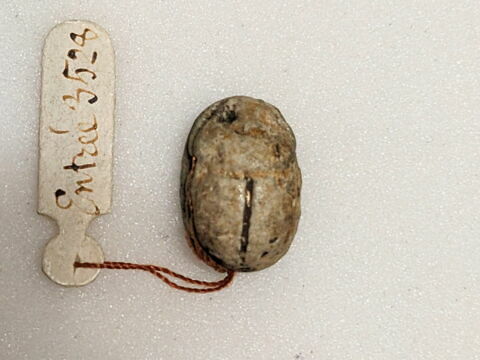 scarabée, image 2/2