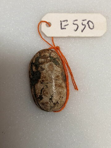 scarabée, image 1/1