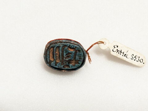 scarabée, image 1/2