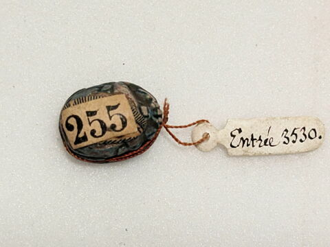 scarabée, image 2/2
