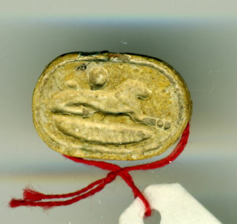 scarabée, image 5/6
