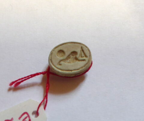 scarabée, image 1/4