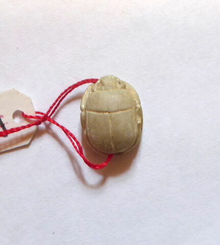 scarabée, image 2/4