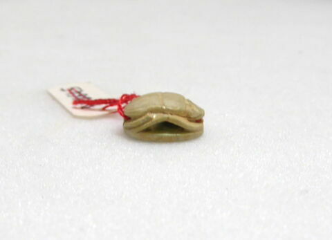 scarabée, image 3/4