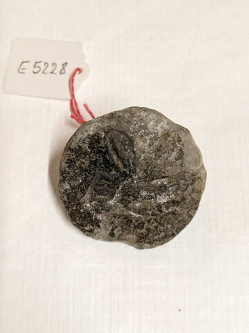 sceau bouton ; scaraboïde, image 1/2