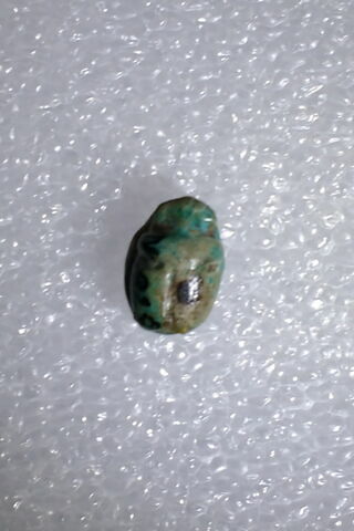 scarabée, image 2/2