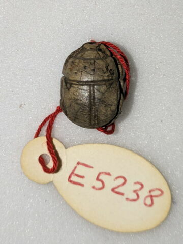 scarabée, image 2/2