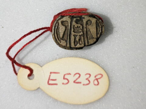 scarabée, image 1/2