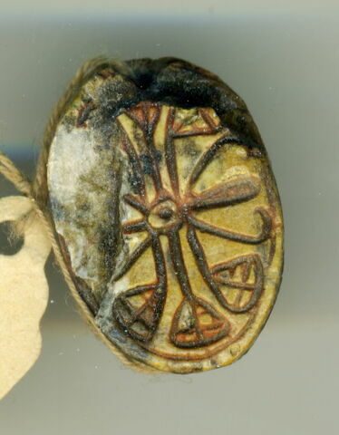 scarabée, image 1/1