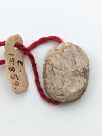 scarabée, image 2/2