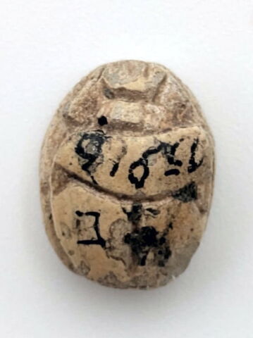 scarabée, image 2/2