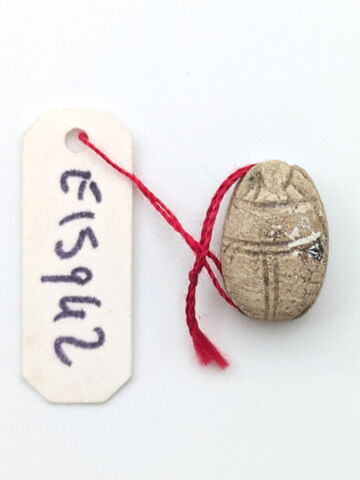 scarabée, image 2/2