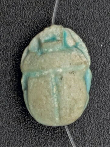 scarabée, image 2/2