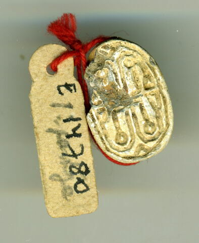 scarabée, image 1/2