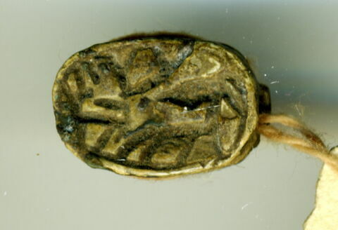 scarabée, image 1/2