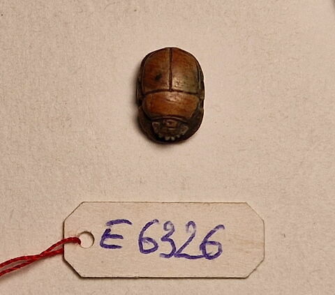 scarabée, image 2/5