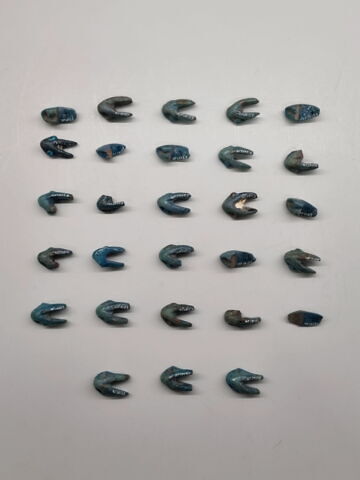 incrustation, image 2/9