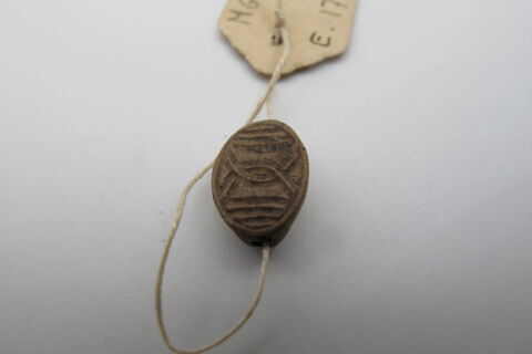 perle cauroïde, image 1/2