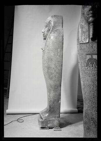 vue d'ensemble ; profil gauche © Musée du Louvre / Maurice et Pierre Chuzeville