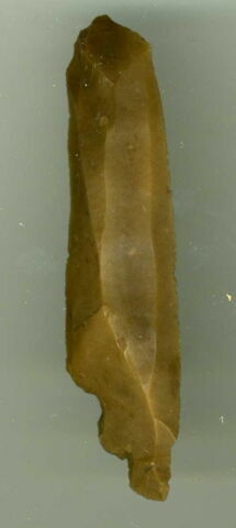 lame brute, image 1/1