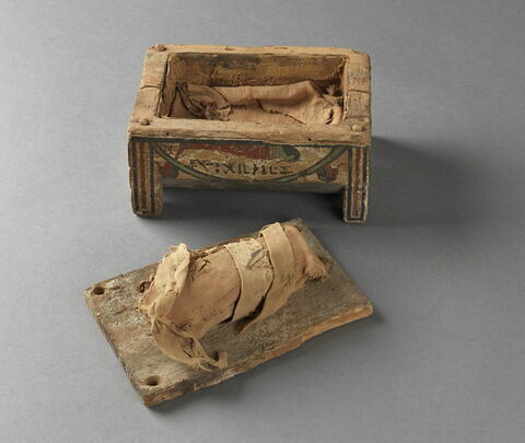 sarcophage miniature ; élément momifié