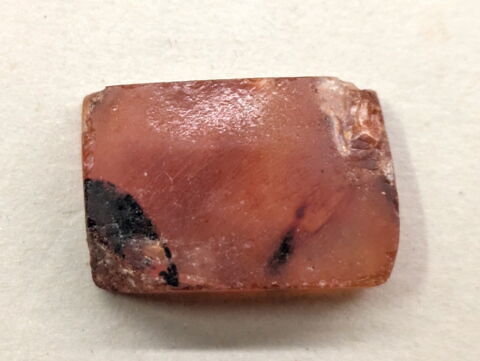 plaquette de dépôt de fondation, image 2/2