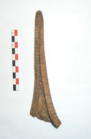 sandale, image 2/2