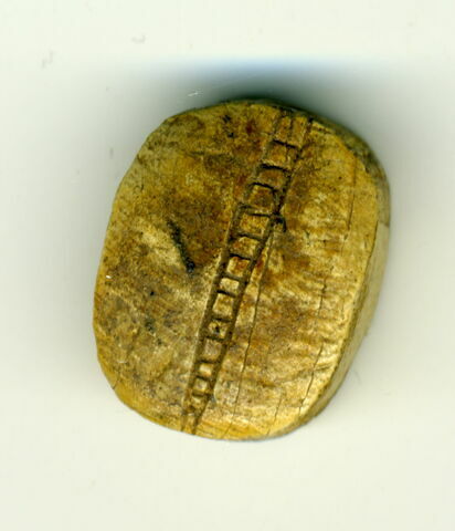 scaraboïde ; perle en pastille ovale, image 2/2