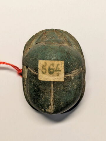 scarabée funéraire, image 2/3