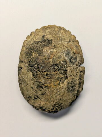 scarabée de cœur, image 2/2