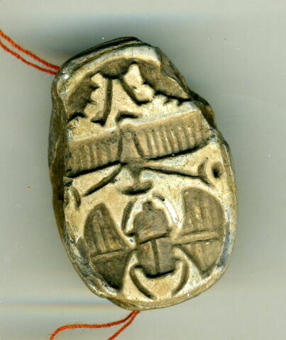 scarabée, image 1/1