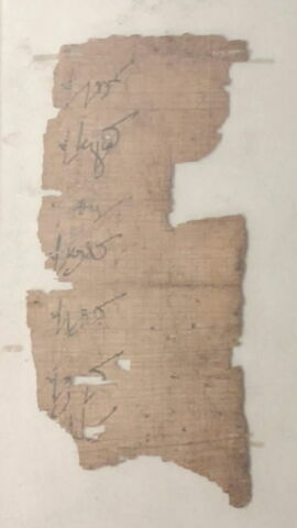 papyrus, image 1/1