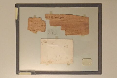 papyrus, image 2/2