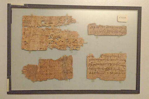 papyrus