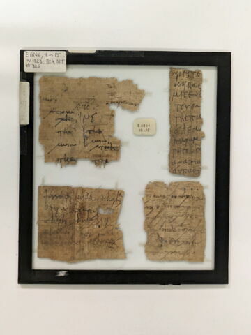 papyrus, image 1/1
