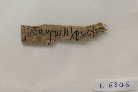 papyrus, image 1/1