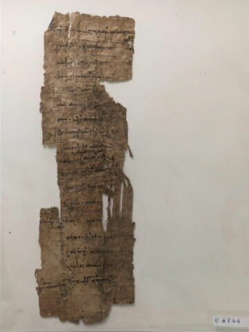 papyrus, image 1/1