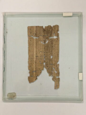 papyrus, image 2/2