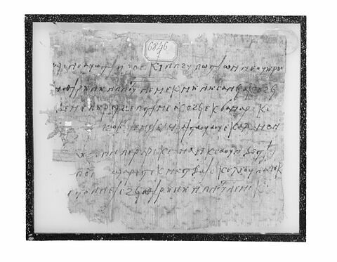 papyrus, image 2/3