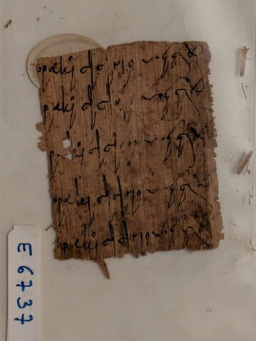 papyrus, image 1/1