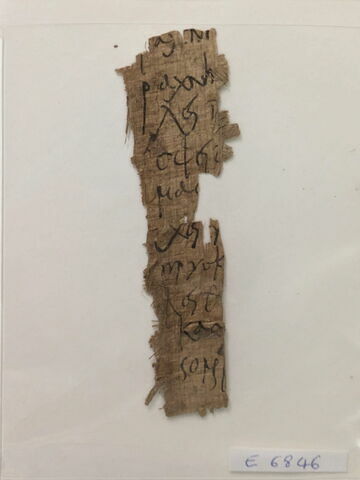 papyrus, image 1/3
