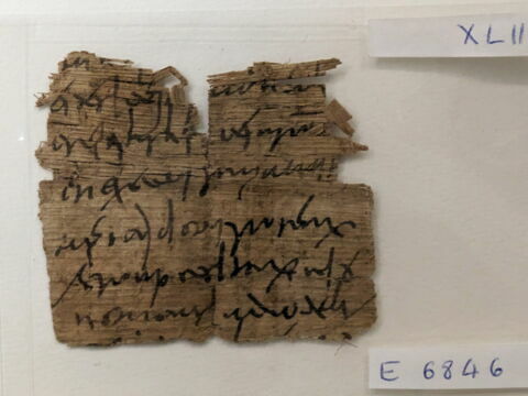 papyrus, image 1/1