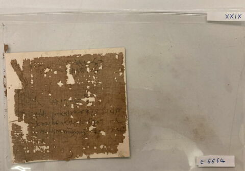 papyrus, image 1/1