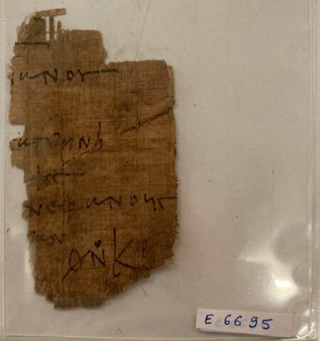 papyrus, image 1/1