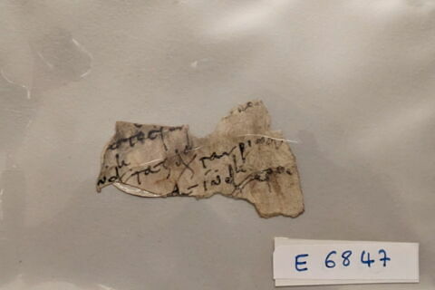 parchemin, image 1/1