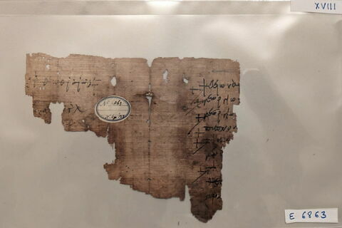 papyrus, image 1/1