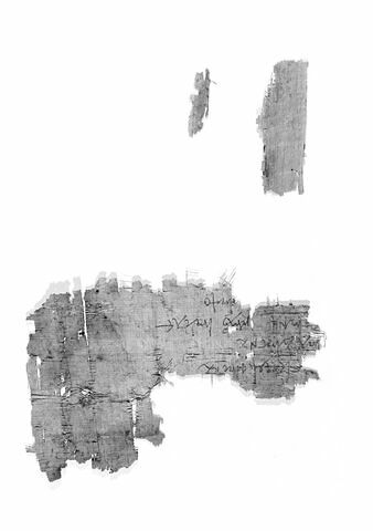 papyrus, image 2/6