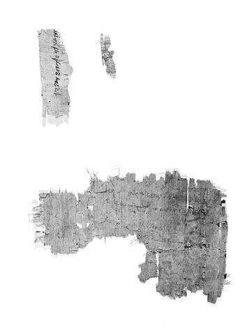 papyrus, image 4/6