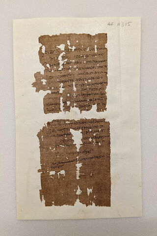 papyrus, image 1/1