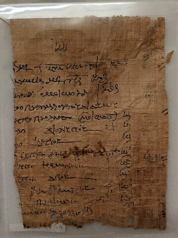 papyrus, image 2/2